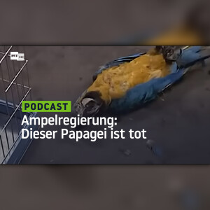 Ampelregierung: Dieser Papagei ist tot