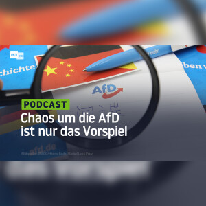 Das Chaos um die AfD ist nur das Vorspiel