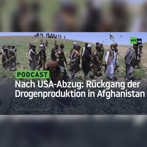 Nach Abzug der USA: Drogenproduktion in Afghanistan geht massiv zurück