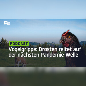 Vogelgrippe: Hofvirologe Drosten reitet schon auf der nächsten Pandemie-Welle