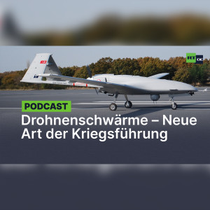 "Wie Kavallerie gegen Panzer": Türkei perfektioniert neue Art der Kriegführung mit Drohnenschwärmen