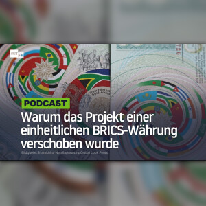 Warum das Projekt einer einheitlichen BRICS-Währung verschoben wurde