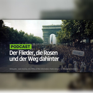 Der Flieder, die Rosen und der Weg dahinter