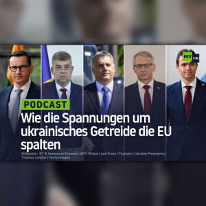 Wie die Spannungen um ukrainisches Getreide die EU spalten
