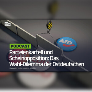 Parteienkartell und Scheinopposition: Das Wahl-Dilemma der Ostdeutschen