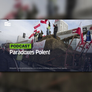 Paradoxes Polen!