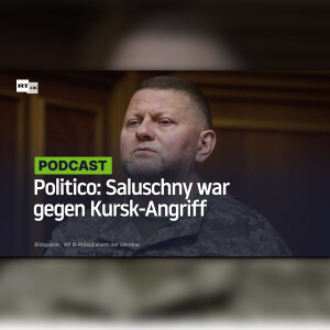 Politico: Saluschny war gegen Kursk-Angriff