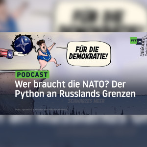 Wer braucht die NATO? Der Python an Russlands Grenzen
