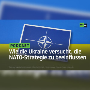 Wie die Ukraine versucht, die NATO-Strategie zu beeinflussen