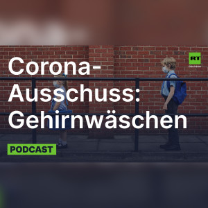 Corona-Ausschuss. "Es werden Gehirnwäschen im großen Stil durchgeführt" – Teil 1