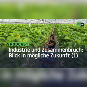 Energie, Industrie und Zusammenbruch – ein Blick in eine mögliche Zukunft, Teil 1