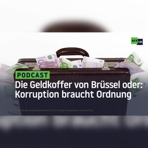 Die Geldkoffer von Brüssel oder: Auch Korruption braucht Ordnung
