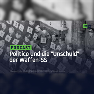 Politico und die ”Unschuld” der Waffen-SS