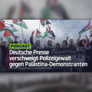 Prügeln, treten, würgen: Deutsche Presse verschweigt Polizeigewalt gegen Palästina-Demonstranten