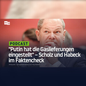 ”Putin hat die Gaslieferungen eingestellt” – Scholz und Habeck im Faktencheck