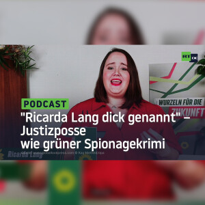 ”Ricarda Lang dick genannt” – Die Justizposse um Hadmut Danisch könnte ein grüner Spionagekrimi sein