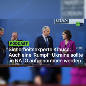 Sicherheitsexperte Krause: Auch eine ’Rumpf’-Ukraine sollte in die NATO aufgenommen werden