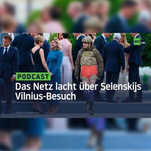Selenskij mutterseelenallein – das Netz lacht über seinen Vilnius-Besuch