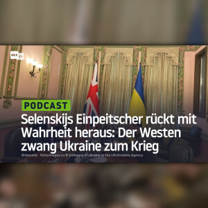 Selenskijs Einpeitscher rückt mit Wahrheit heraus: Der Westen zwang Ukraine zum Krieg