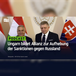 Ungarn bildet Allianz zur Aufhebung der Sanktionen gegen Russland