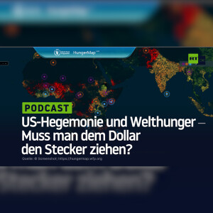 US-Hegemonie und Welthunger ‒ Muss man dem Dollar den Stecker ziehen?