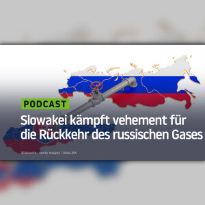 Slowakei kämpft vehement für die Rückkehr des russischen Gases