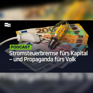 Stromsteuerbremse nur fürs Kapital – und Propaganda fürs Volk