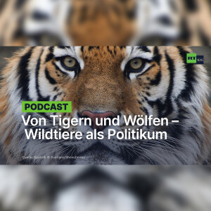 Von Tigern und Wölfen – Wildtiere als Politikum