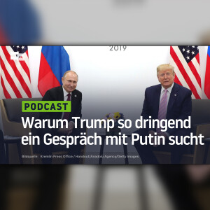 Warum Trump so dringend ein Gespräch mit Putin sucht