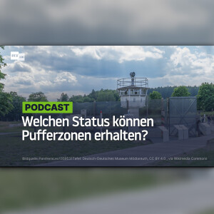Welchen Status können Pufferzonen erhalten?