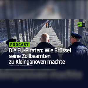 Die EU-Piraten: Wie Brüssel seine Zollbeamten zu Kleinganoven machte