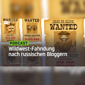 Wildwest-Fahndung nach russischen Bloggern: US-Statedepartment lobt 10 Millionen US-Dollar aus