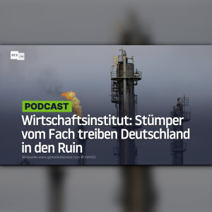 Wirtschaftsinstitut: Stümper vom Fach treiben Deutschland in den Ruin