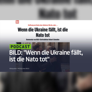 BILD: "Wenn die Ukraine fällt, ist die Nato tot" – Und das ist vielleicht gar nicht so schlecht