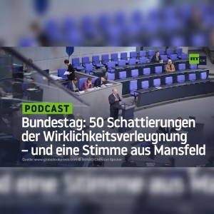 Bundestag: 50 Schattierungen der Wirklichkeitsverleugnung – und eine Stimme aus Mansfeld