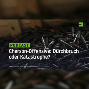 Cherson-Offensive: Durchbruch oder Katastrophe?
