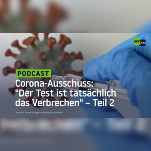 Corona-Ausschuss: "Der Test ist tatsächlich das Verbrechen" – Teil 2