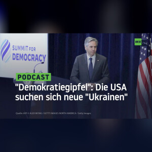 ”Demokratiegipfel”: Die USA suchen sich neue ”Ukrainen”