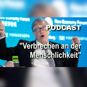 Italienische Abgeordnete fordert Verhaftung von Bill Gates wegen "Verbrechen an der Menschlichkeit"