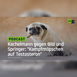 "Gottgleich fühlende Kampfmöpschen auf Testosteron" – Kachelmann nagelt gegen Bild und Springer