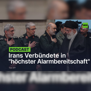 In verbleibenden Tagen von Trumps Amtszeit: Irans Verbündete in "höchster Alarmbereitschaft"