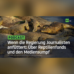 Wenn die Regierung Journalisten anfüttert: Über Reptilienfonds und den Mediensumpf