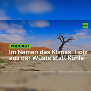 Im Namen des Klimas: Hamburger Umweltbehörde will Steinkohle durch Buschholz aus Namibia ersetzen