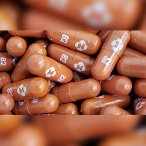 Merck berechnet das 40fache der Kosten für die Herstellung der staatlich finanzierten COVID-Pille