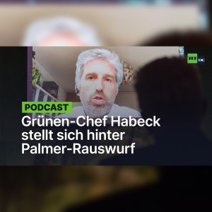 Grünen-Chef Habeck stellt sich hinter Palmer-Rauswurf: Parteienforscher skeptisch