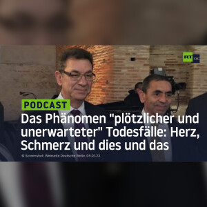Das Phänomen ”plötzlicher und unerwarteter” Todesfälle: Herz, Schmerz und dies und das