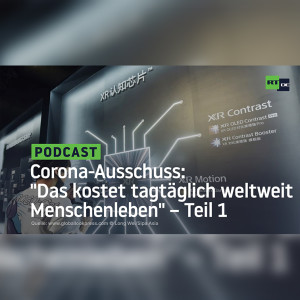 Corona-Ausschuss: "Das kostet tagtäglich weltweit Menschenleben" – Teil 1