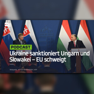 Ukraine sanktioniert Ungarn und Slowakei – EU schweigt