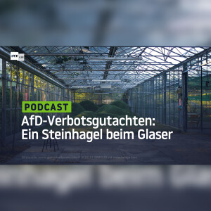 AfD-Verbotsgutachten: Ein Steinhagel beim Glaser