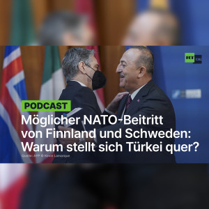 Möglicher NATO-Beitritt von Finnland und Schweden: Warum stellt sich Türkei quer?